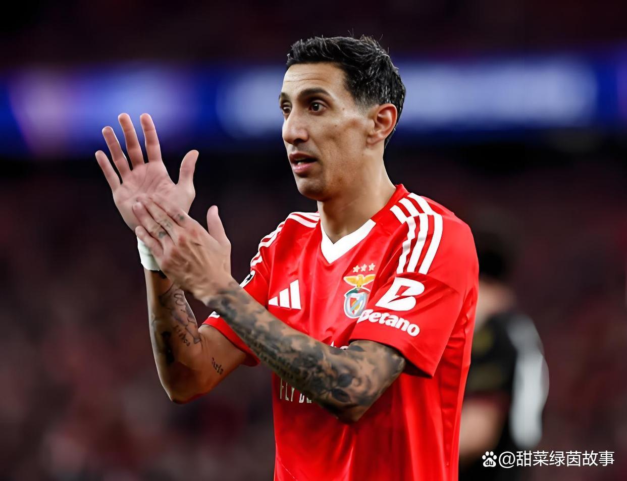 葡超赛前走向成谜;菲尼克斯太阳状态回暖;目标明确;更衣室氛围转暖 葡超赛前走向成谜;菲尼克斯太阳状态回暖;目标明确;更衣室氛围转暖